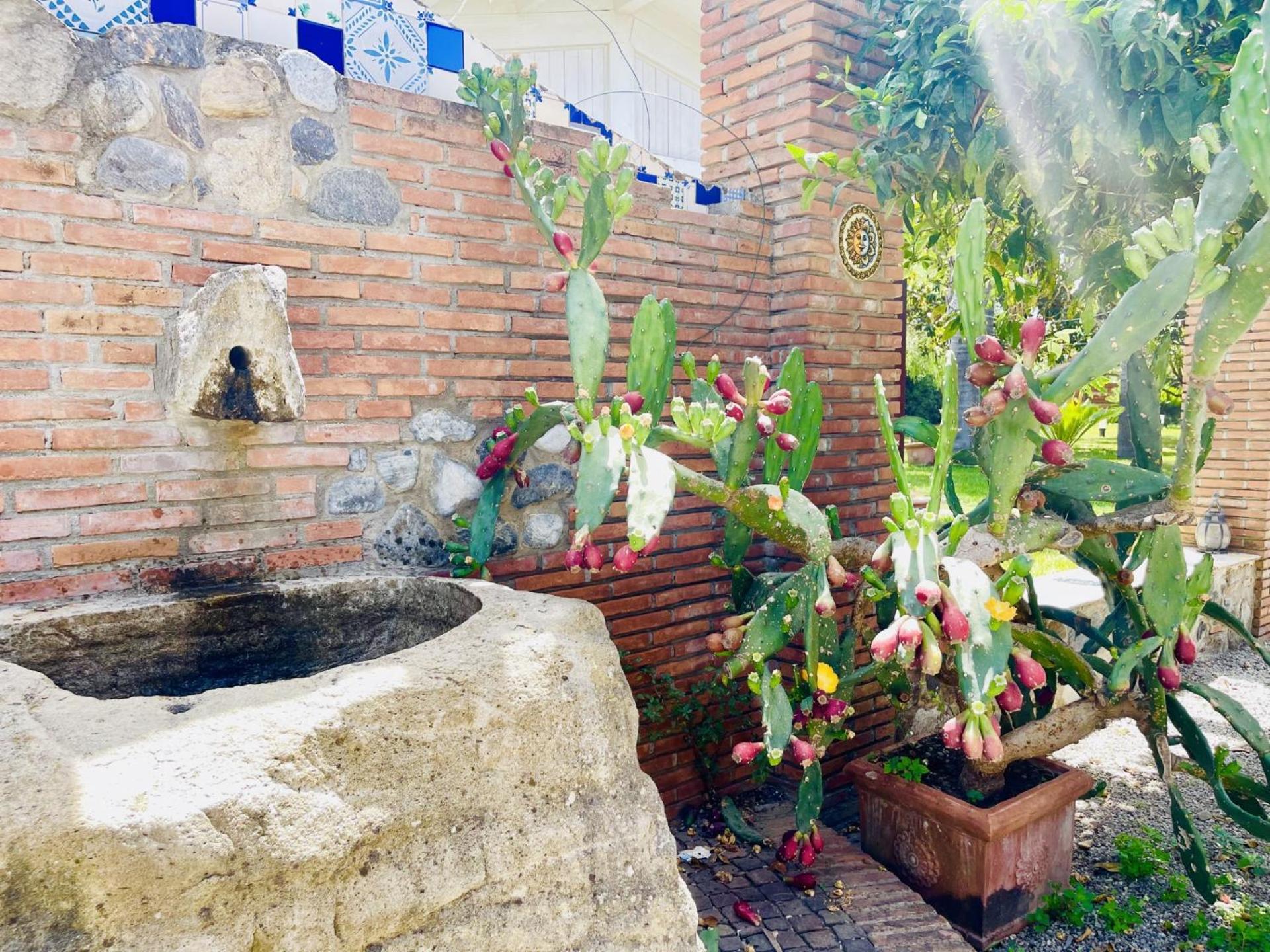 Borgo Camicia In Bed and Breakfast Barcellona-Pozzo di Gotto Buitenkant foto